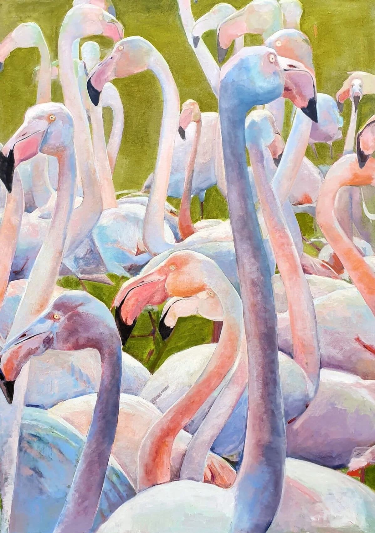 Flamingoschar — Raumansicht